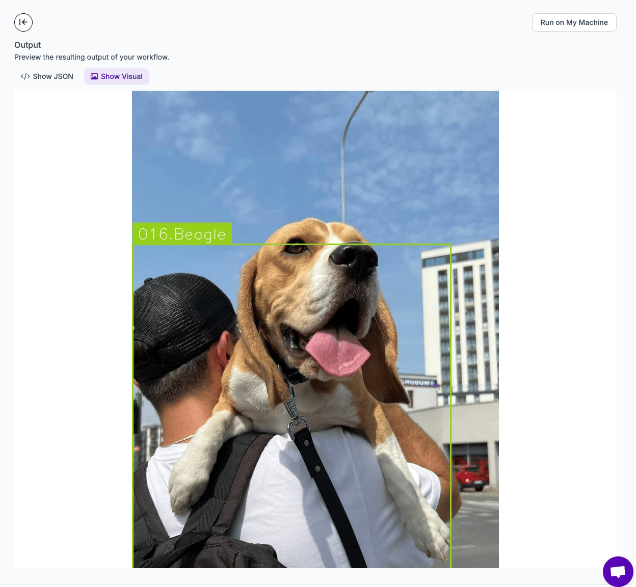 Dog breed classification result